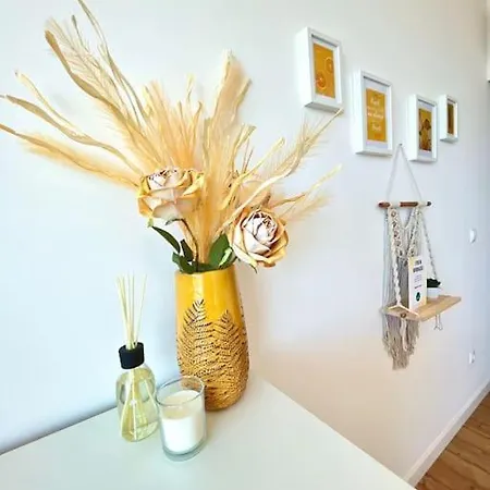 Domus Da Ria - Alboi Iii Aveiro